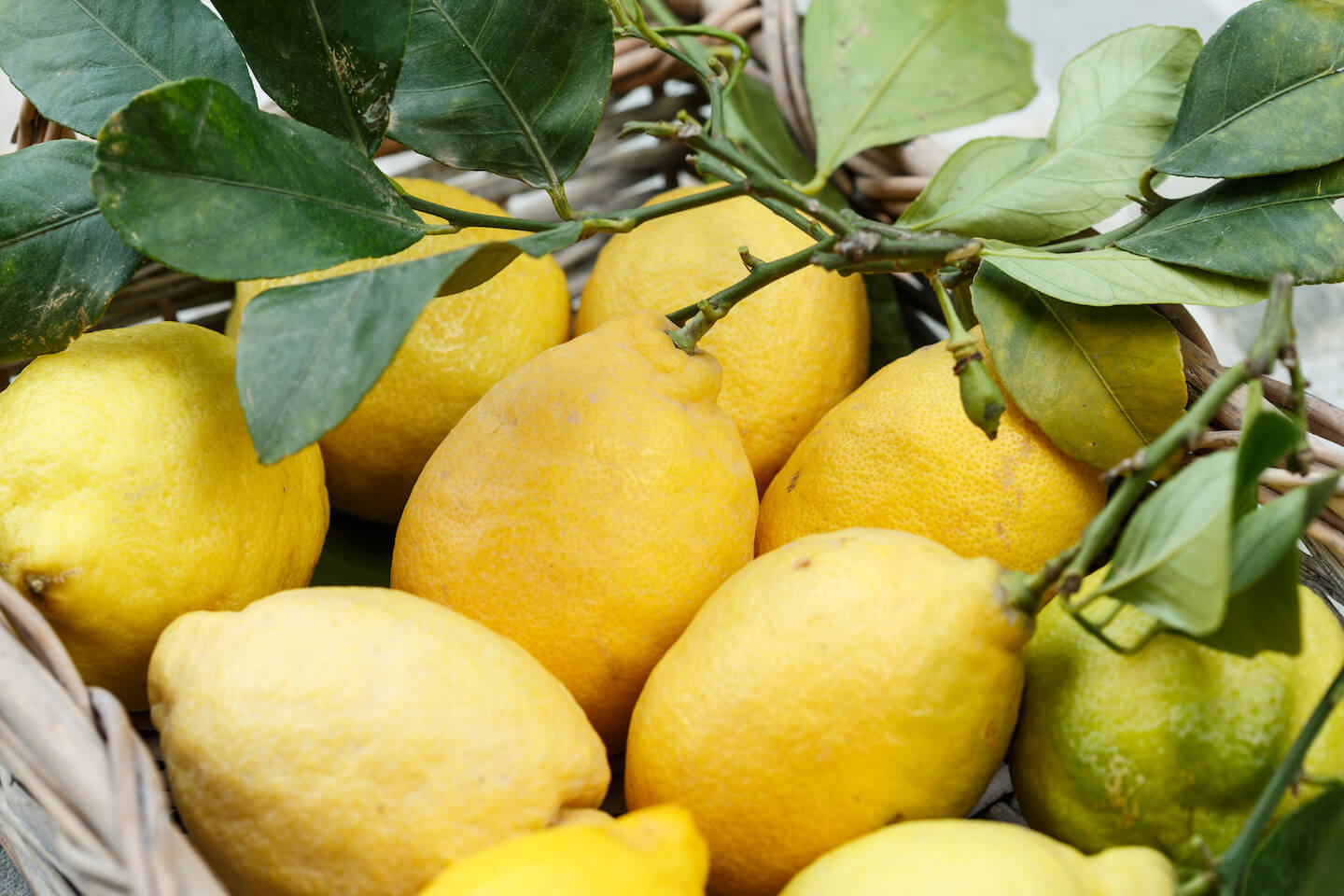 Amalfi Zitronen in einem Korb